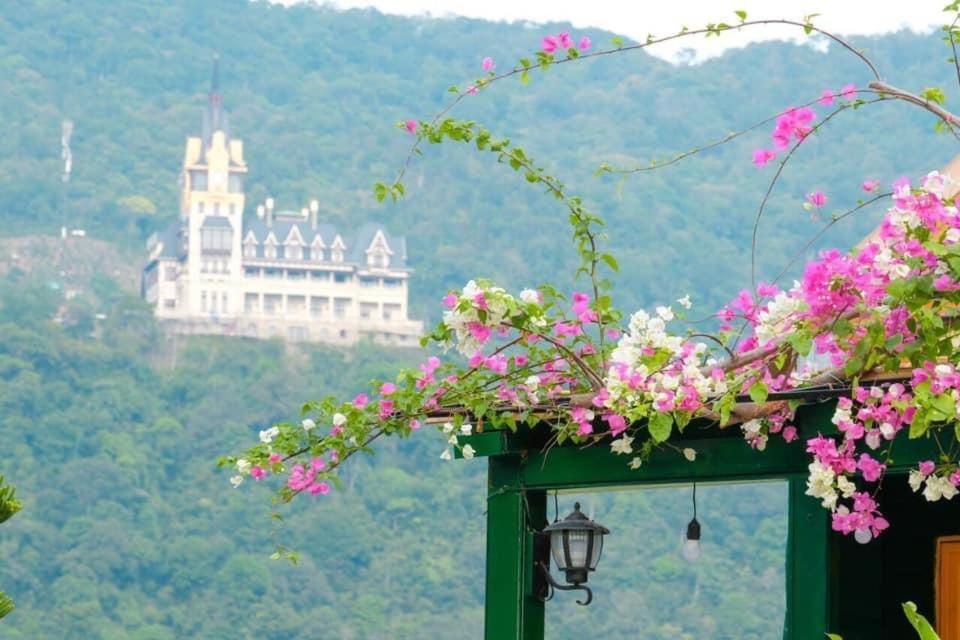 Mimosa Villa Tam Ðảo エクステリア 写真