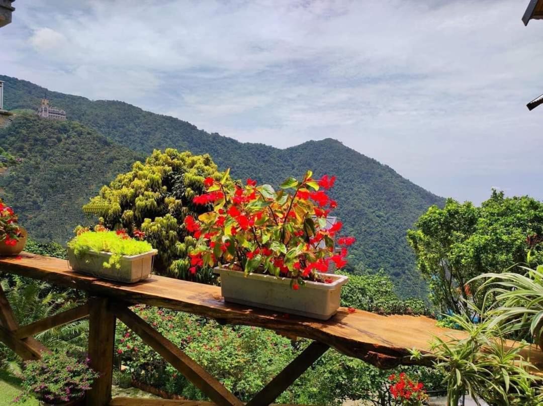 Mimosa Villa Tam Ðảo エクステリア 写真
